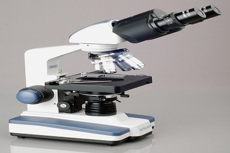 Microscope & Accesories